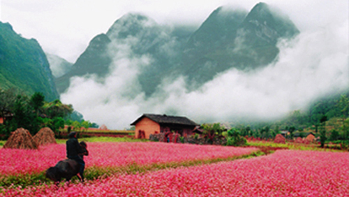 Étnicos de Ha Giang recuperan su fiesta singular